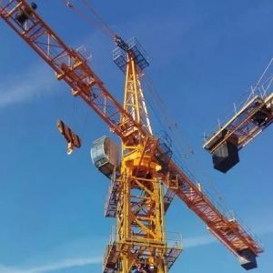 ���I(y��)���������C(j��)��(y��n)���������r����Щ��