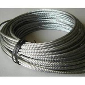 ���ؙC(j��)�����z�y��ע�����