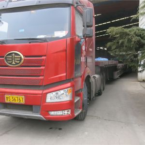 2018010004 �ι��_(d��) ����늄�(d��ng)���JBCD10-30