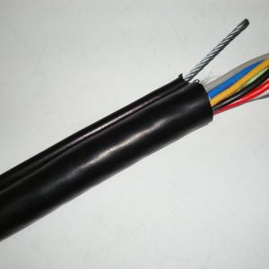 ɽ�|ʡ��(y��u)�|늾���|���a(ch��n)���������̩