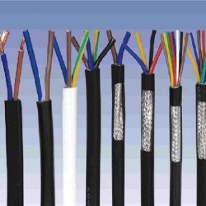 ������|����|���N��е�һ�N��ʲô�ǿ�����|��